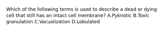 Which of the following terms is used to describe a dead or dying cell that still has an intact cell membrane? A.Pyknotic B.Toxic granulation C.Vacuolization D.Lobulated