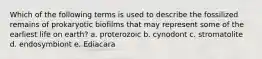 Which of the following terms is used to describe the fossilized remains of prokaryotic biofilms that may represent some of the earliest life on earth? a. proterozoic b. cynodont c. stromatolite d. endosymbiont e. Ediacara