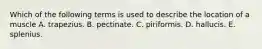 Which of the following terms is used to describe the location of a muscle A. trapezius. B. pectinate. C. piriformis. D. hallucis. E. splenius.