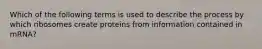 Which of the following terms is used to describe the process by which ribosomes create proteins from information contained in mRNA?