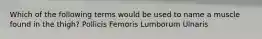 Which of the following terms would be used to name a muscle found in the thigh? Pollicis Femoris Lumborum Ulnaris