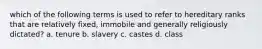 which of the following terms is used to refer to hereditary ranks that are relatively fixed, immobile and generally religiously dictated? a. tenure b. slavery c. castes d. class
