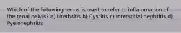 Which of the following terms is used to refer to inflammation of the renal pelvis? a) Urethritis b) Cystitis c) Interstitial nephritis d) Pyelonephritis