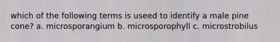 which of the following terms is useed to identify a male pine cone? a. microsporangium b. microsporophyll c. microstrobilus