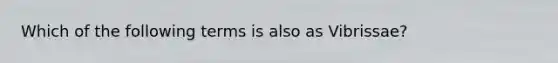 Which of the following terms is also as Vibrissae?