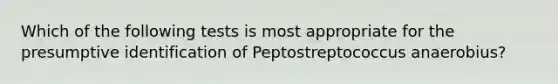 Which of the following tests is most appropriate for the presumptive identification of Peptostreptococcus anaerobius?