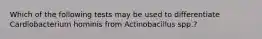 Which of the following tests may be used to differentiate Cardiobacterium hominis from Actinobacillus spp.?