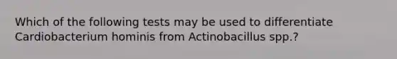 Which of the following tests may be used to differentiate Cardiobacterium hominis from Actinobacillus spp.?