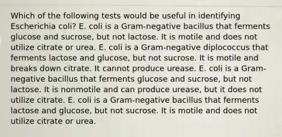 Which of the following tests would be useful in identifying Escherichia coli? E. coli is a Gram-negative bacillus that ferments glucose and sucrose, but not lactose. It is motile and does not utilize citrate or urea. E. coli is a Gram-negative diplococcus that ferments lactose and glucose, but not sucrose. It is motile and breaks down citrate. It cannot produce urease. E. coli is a Gram-negative bacillus that ferments glucose and sucrose, but not lactose. It is nonmotile and can produce urease, but it does not utilize citrate. E. coli is a Gram-negative bacillus that ferments lactose and glucose, but not sucrose. It is motile and does not utilize citrate or urea.