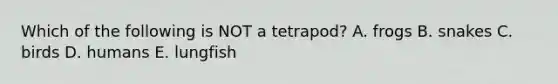 Which of the following is NOT a tetrapod? A. frogs B. snakes C. birds D. humans E. lungfish