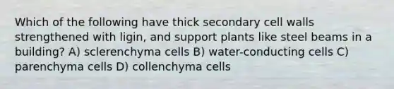 Which of the following have thick secondary cell walls strengthened with ligin, and support plants like steel beams in a building? A) sclerenchyma cells B) water-conducting cells C) parenchyma cells D) collenchyma cells