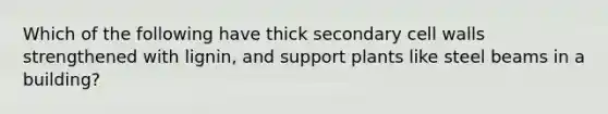 Which of the following have thick secondary cell walls strengthened with lignin, and support plants like steel beams in a building?