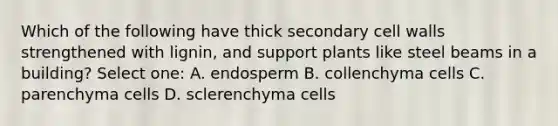 Which of the following have thick secondary cell walls strengthened with lignin, and support plants like steel beams in a building? Select one: A. endosperm B. collenchyma cells C. parenchyma cells D. sclerenchyma cells