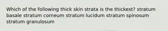 Which of the following thick skin strata is the thickest? stratum basale stratum corneum stratum lucidum stratum spinosum stratum granulosum