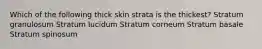 Which of the following thick skin strata is the thickest? Stratum granulosum Stratum lucidum Stratum corneum Stratum basale Stratum spinosum