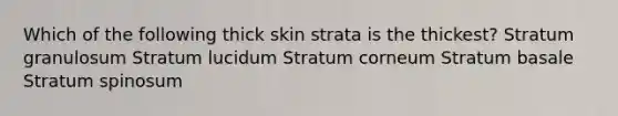 Which of the following thick skin strata is the thickest? Stratum granulosum Stratum lucidum Stratum corneum Stratum basale Stratum spinosum