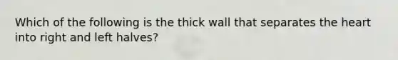 Which of the following is the thick wall that separates <a href='https://www.questionai.com/knowledge/kya8ocqc6o-the-heart' class='anchor-knowledge'>the heart</a> into right and left halves?