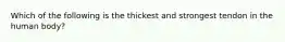 Which of the following is the thickest and strongest tendon in the human body?