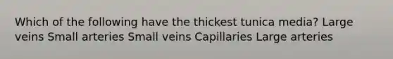 Which of the following have the thickest tunica media? Large veins Small arteries Small veins Capillaries Large arteries