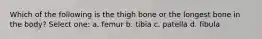 Which of the following is the thigh bone or the longest bone in the body? Select one: a. femur b. tibia c. patella d. fibula