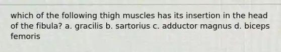 which of the following thigh muscles has its insertion in the head of the fibula? a. gracilis b. sartorius c. adductor magnus d. biceps femoris