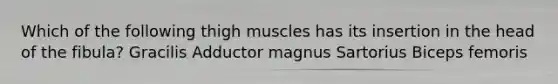 Which of the following thigh muscles has its insertion in the head of the fibula? Gracilis Adductor magnus Sartorius Biceps femoris