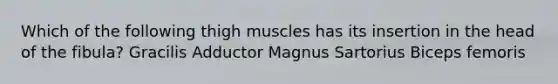 Which of the following thigh muscles has its insertion in the head of the fibula? Gracilis Adductor Magnus Sartorius Biceps femoris