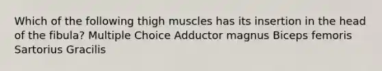 Which of the following thigh muscles has its insertion in the head of the fibula? Multiple Choice Adductor magnus Biceps femoris Sartorius Gracilis