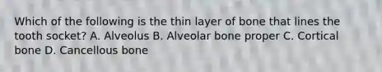 Which of the following is the thin layer of bone that lines the tooth socket? A. Alveolus B. Alveolar bone proper C. Cortical bone D. Cancellous bone