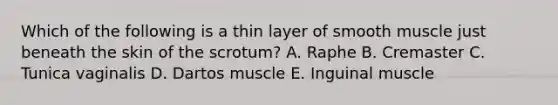 Which of the following is a thin layer of smooth muscle just beneath the skin of the scrotum? A. Raphe B. Cremaster C. Tunica vaginalis D. Dartos muscle E. Inguinal muscle