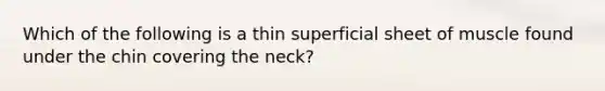 Which of the following is a thin superficial sheet of muscle found under the chin covering the neck?