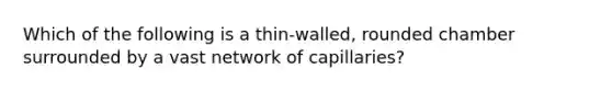 Which of the following is a thin-walled, rounded chamber surrounded by a vast network of capillaries?