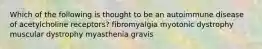 Which of the following is thought to be an autoimmune disease of acetylcholine receptors? fibromyalgia myotonic dystrophy muscular dystrophy myasthenia gravis