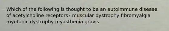 Which of the following is thought to be an autoimmune disease of acetylcholine receptors? muscular dystrophy fibromyalgia myotonic dystrophy myasthenia gravis