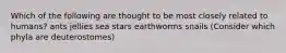 Which of the following are thought to be most closely related to humans? ants jellies sea stars earthworms snails (Consider which phyla are deuterostomes)