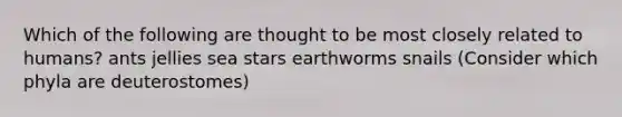 Which of the following are thought to be most closely related to humans? ants jellies sea stars earthworms snails (Consider which phyla are deuterostomes)