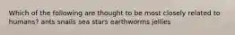 Which of the following are thought to be most closely related to humans? ants snails sea stars earthworms jellies