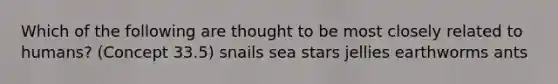 Which of the following are thought to be most closely related to humans? (Concept 33.5) snails sea stars jellies earthworms ants