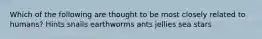 Which of the following are thought to be most closely related to humans? Hints snails earthworms ants jellies sea stars