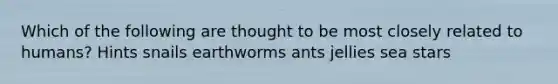 Which of the following are thought to be most closely related to humans? Hints snails earthworms ants jellies sea stars