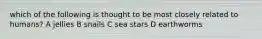 which of the following is thought to be most closely related to humans? A jellies B snails C sea stars D earthworms