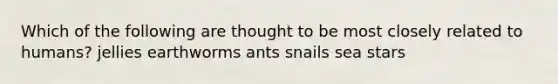 Which of the following are thought to be most closely related to humans? jellies earthworms ants snails sea stars