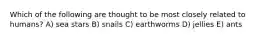Which of the following are thought to be most closely related to humans? A) sea stars B) snails C) earthworms D) jellies E) ants