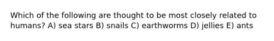 Which of the following are thought to be most closely related to humans? A) sea stars B) snails C) earthworms D) jellies E) ants