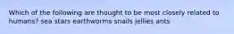 Which of the following are thought to be most closely related to humans? sea stars earthworms snails jellies ants