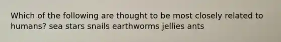 Which of the following are thought to be most closely related to humans? sea stars snails earthworms jellies ants