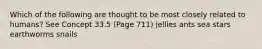 Which of the following are thought to be most closely related to humans? See Concept 33.5 (Page 711) jellies ants sea stars earthworms snails