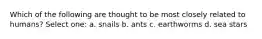 Which of the following are thought to be most closely related to humans? Select one: a. snails b. ants c. earthworms d. sea stars
