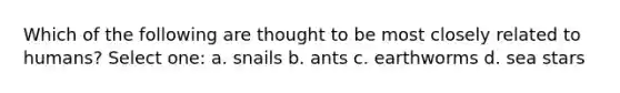 Which of the following are thought to be most closely related to humans? Select one: a. snails b. ants c. earthworms d. sea stars