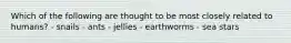 Which of the following are thought to be most closely related to humans? - snails - ants - jellies - earthworms - sea stars